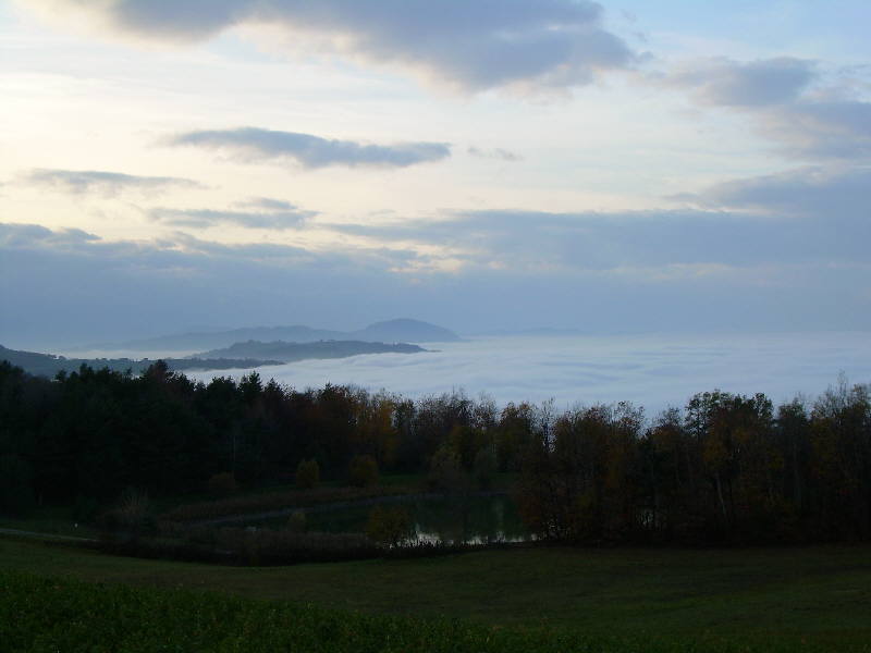 Un mare.........di nebbia